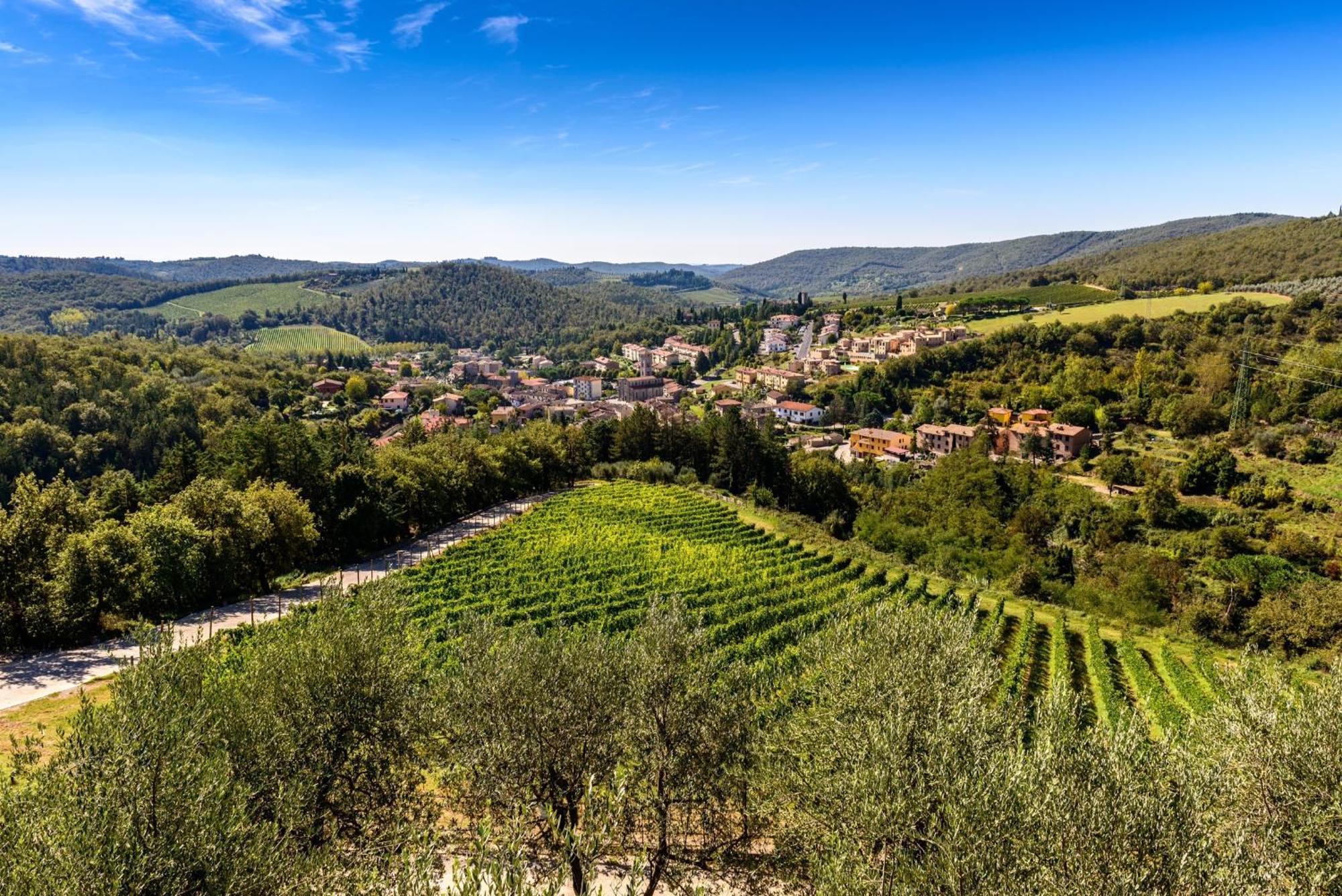 Capannelle Wine Resort Gaiole in Chianti Zewnętrze zdjęcie