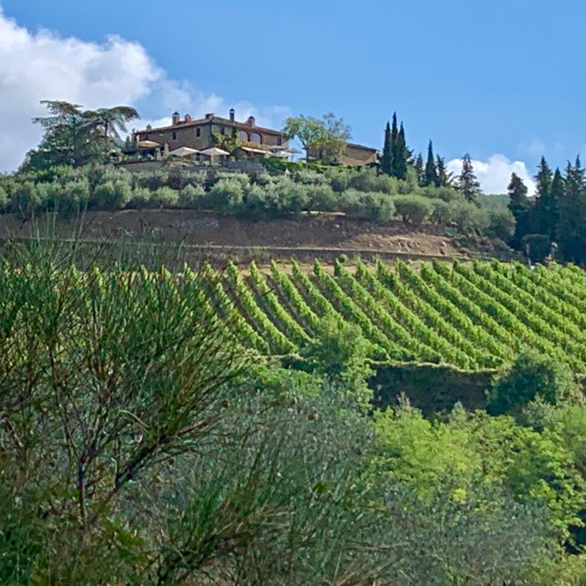 Capannelle Wine Resort Gaiole in Chianti Zewnętrze zdjęcie